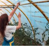 Top 11 Energy-Efficient Polytunnel Heating Options Ready to Winter