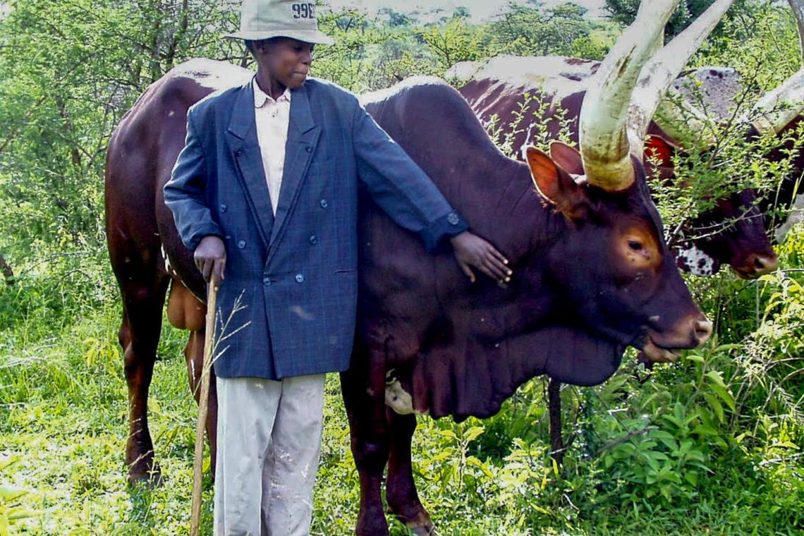 Bridging Cultures in Conservation: Lessons from Uganda’s Lake Mburo National Park