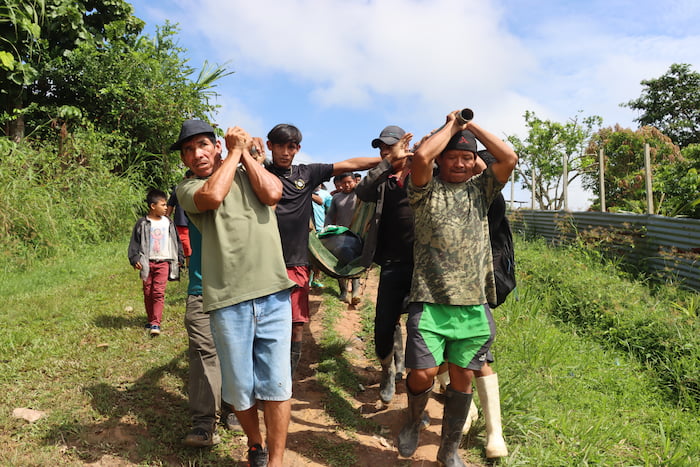 amazonian manatee rescue