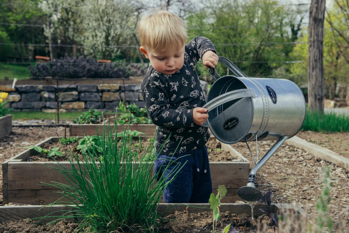 Beyond Books: How School Gardens Foster Learning and Wellness