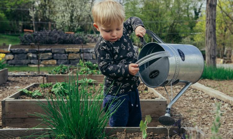 kid in the gardening