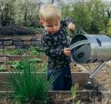 Beyond Books: How School Gardens Foster Learning and Wellness