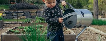 Beyond Books: How School Gardens Foster Learning and Wellness