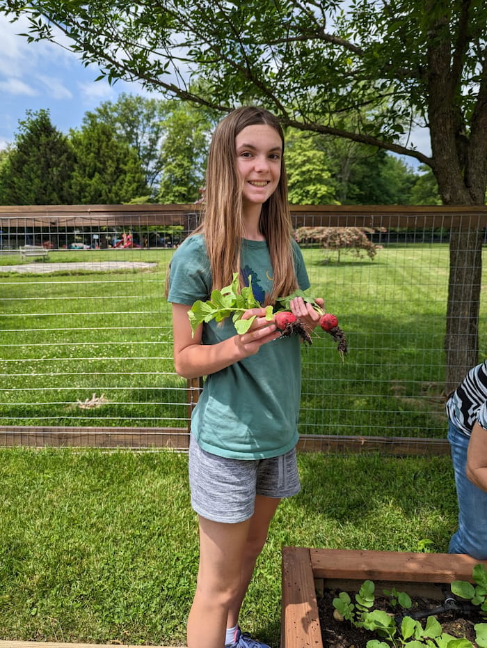 Proud young girl holding freshly harvested radishes in a community garden, showcasing sustainable gardening practices.