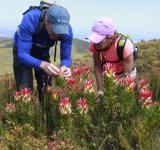 The Rainbow Nation’s Diversity Trail: Exploring South Africa's Hidden Biodiversity