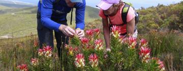 The Rainbow Nation’s Diversity Trail: Exploring South Africa's Hidden Biodiversity