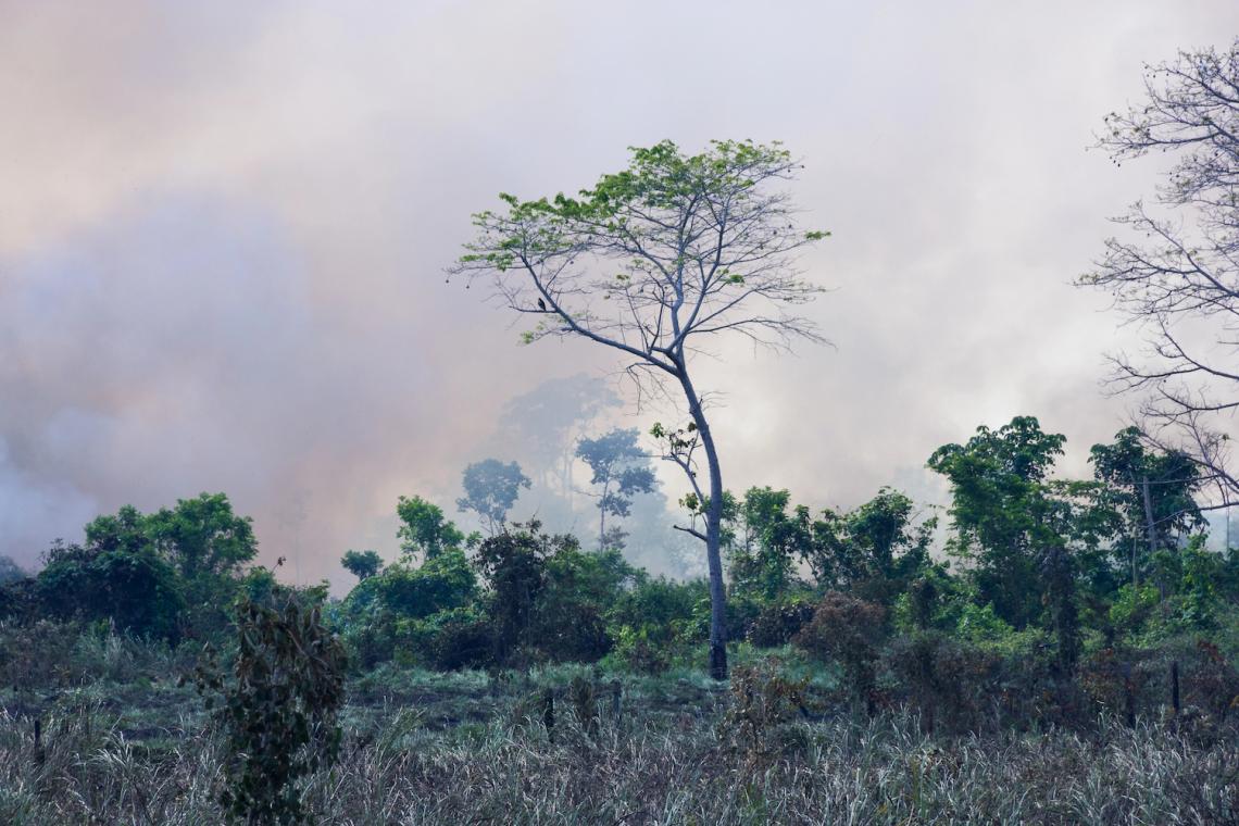 Climate Tipping Points: Why Earth’s Critical Thresholds Are Closer Than We Think