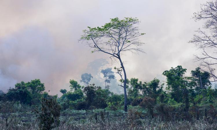 Climate Tipping Points: Why Earth’s Critical Thresholds Are Closer Than We Think