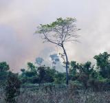 Climate Tipping Points: Why Earth’s Critical Thresholds Are Closer Than We Think