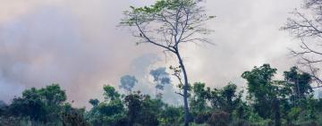 Climate Tipping Points: Why Earth’s Critical Thresholds Are Closer Than We Think