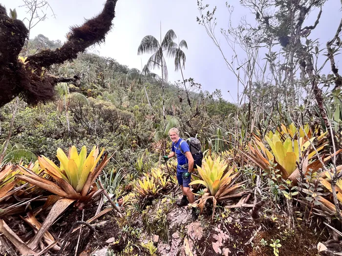 The Beautiful Fields explored while Hiking
