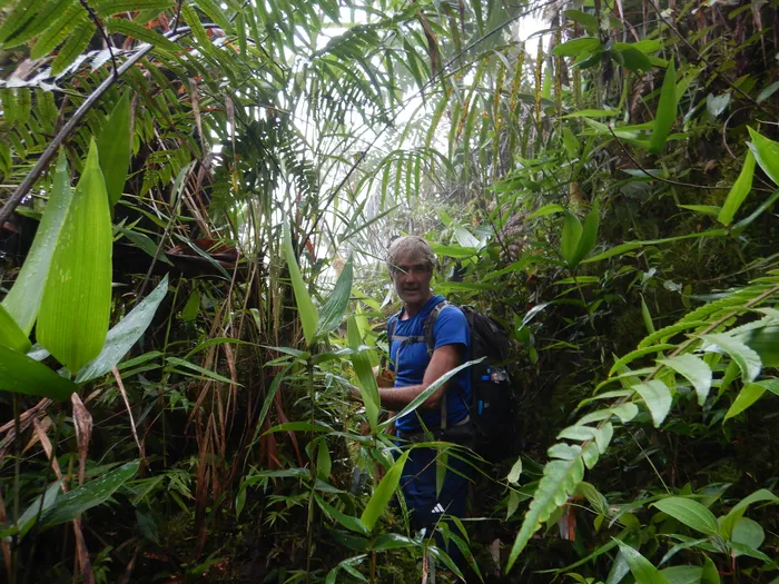 Walking through the foilage