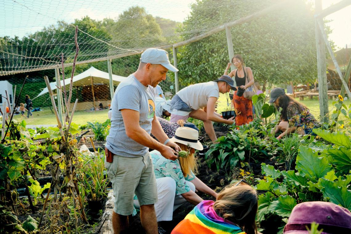 How a South African Festival is Cultivating a Carbon-Negative Future