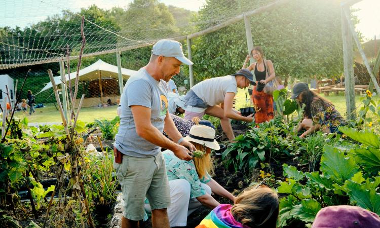 Greenpop Festival Attendees Planting Herbs