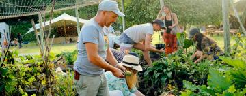How a South African Festival is Cultivating a Carbon-Negative Future