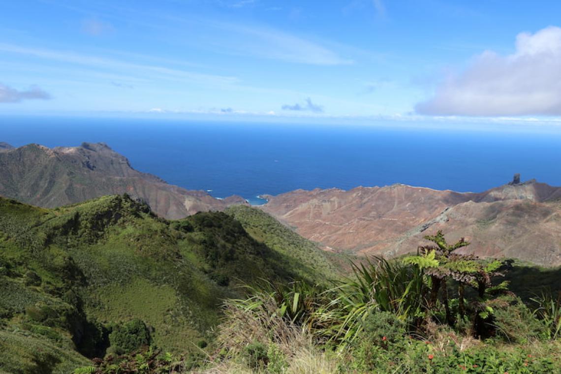 The Fight to Save St Helena’s Ancient Forests