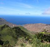 The Fight to Save St Helena’s Ancient Forests