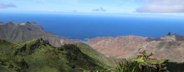 The Fight to Save St Helena’s Ancient Forests