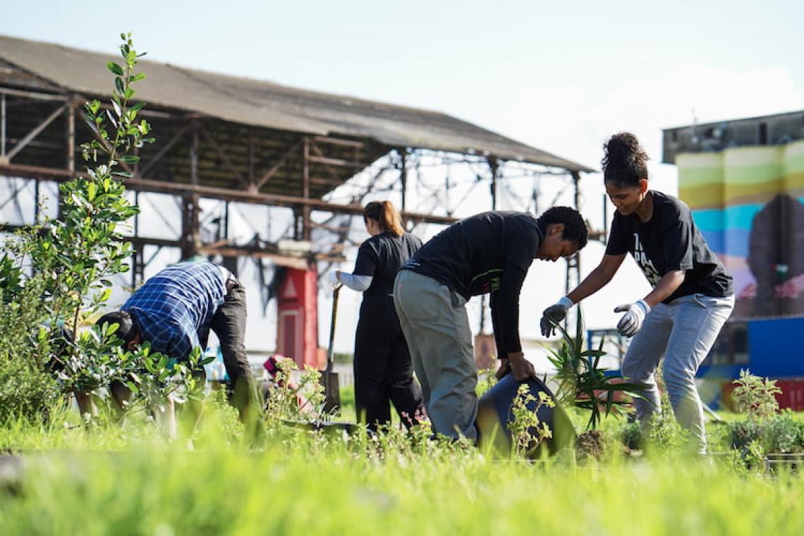 Climate and Communal Justice: Cultivating Equity Through Urban Greening in Cape Town