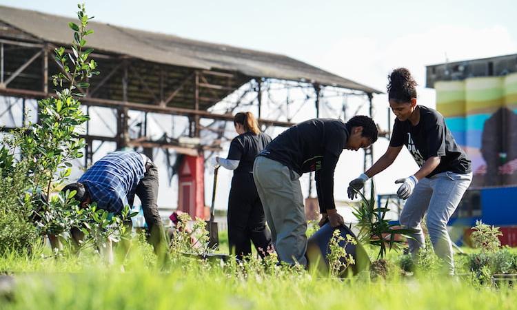  Climate and Communal Justice: Cultivating Equity Through Urban Greening in Cape Town