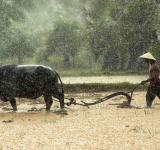 Can Other Effective Area-based Conservation Measures (OECMs) foster people-led conservation in India?