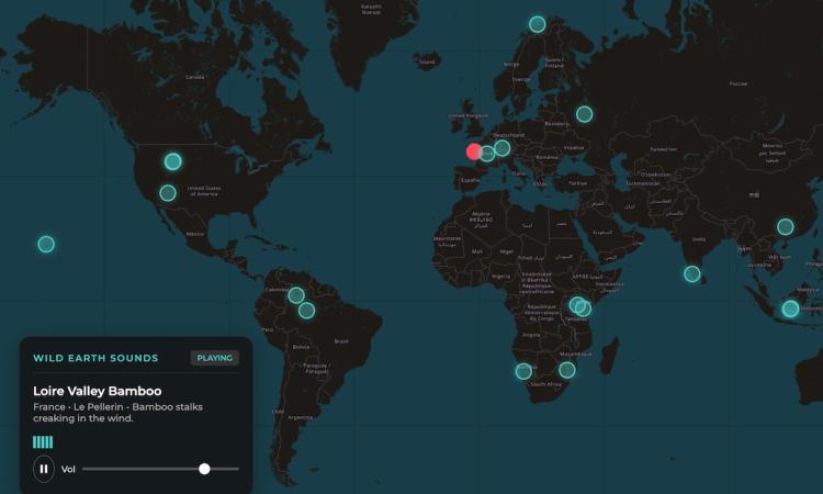 Wild nature sounds from around the world with Wild Earth Sounds