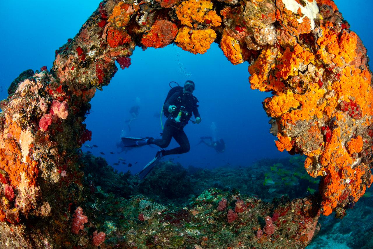 Scuba diving sodwana bay kzn