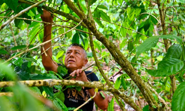Intercultural Outreach Initiative: Leading Conservation Efforts on Isabela Island, Galapagos