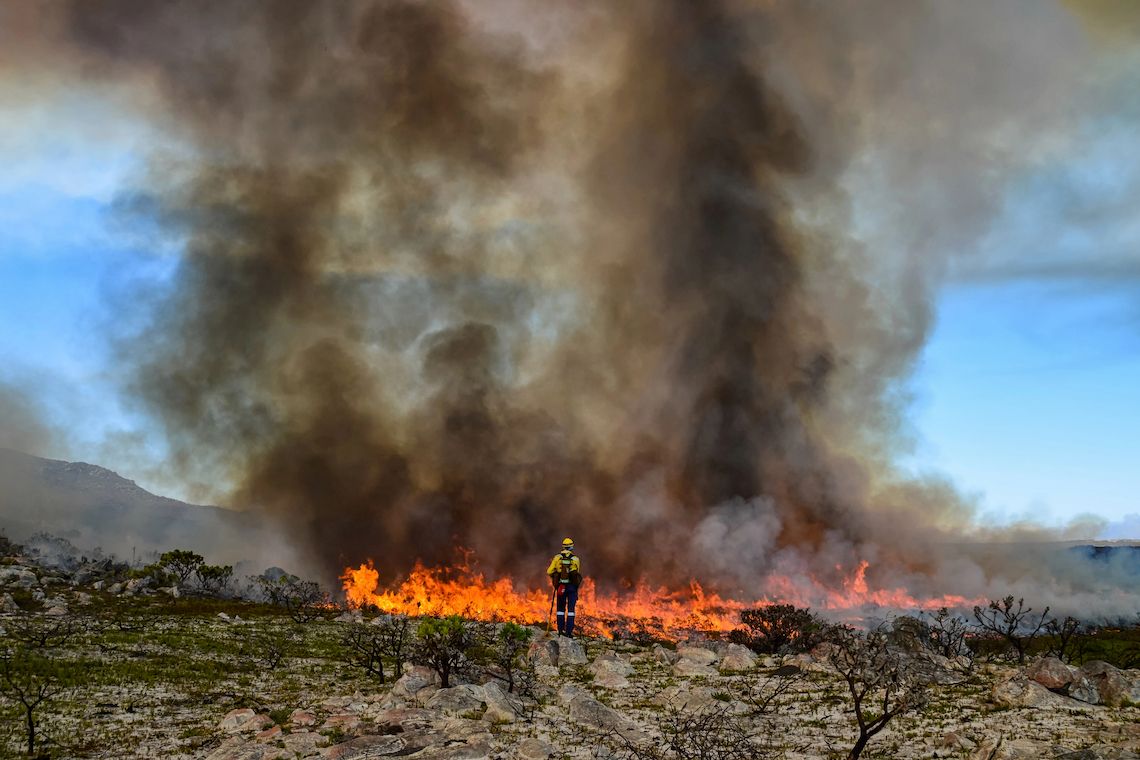 Firefighter at the forefront of fynbos wild fires, Cape Peninsula 