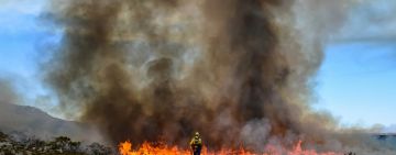 From Ashes to Action: How Community-Based Restoration is Responding to the Western Cape's Fire Crisis