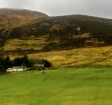 The Case for Rewilding Ireland: A Practical and Evidence Based Case for Returning Land to Nature.