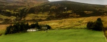 The Case for Rewilding Ireland: A Practical and Evidence Based Case for Returning Land to Nature.