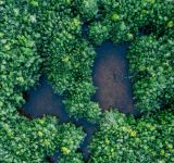 International Biodiversity Day Emphasises Local Action and Improved Research in Africa