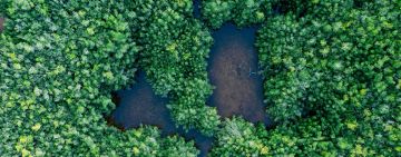 International Biodiversity Day Emphasises Local Action and Improved Research in Africa