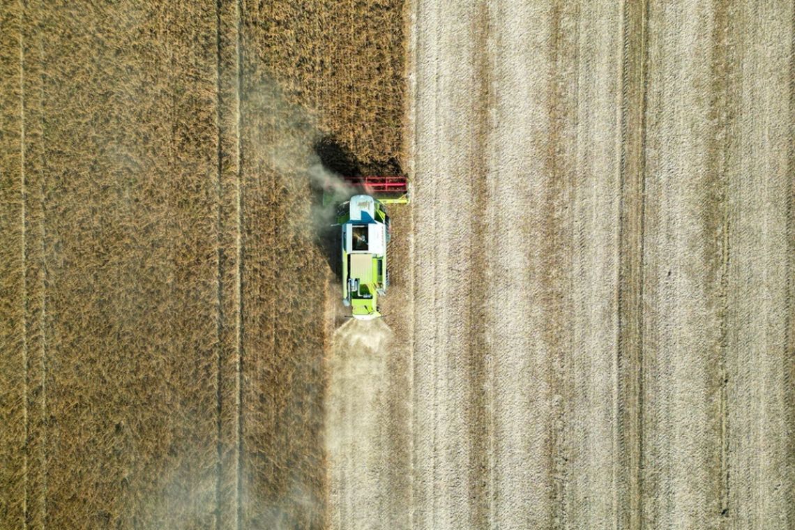 Farming, food security, and agriculture 