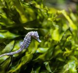 Rising with the Tides - Oceans in focus for South African National Environment Month - Part 2