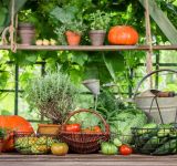 Beyond Labels: Understanding the Impact of Your Food’s Journey