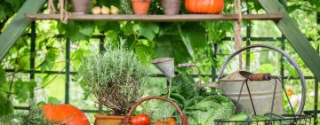 Beyond Labels: Understanding the Impact of Your Food’s Journey