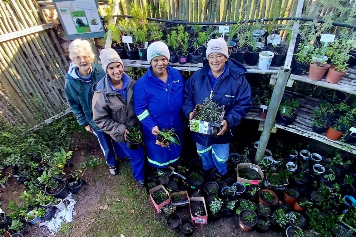 Naomi van Schalkwyk preserving fynbos 