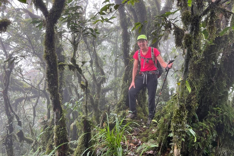 The trek to the top of the mountain.