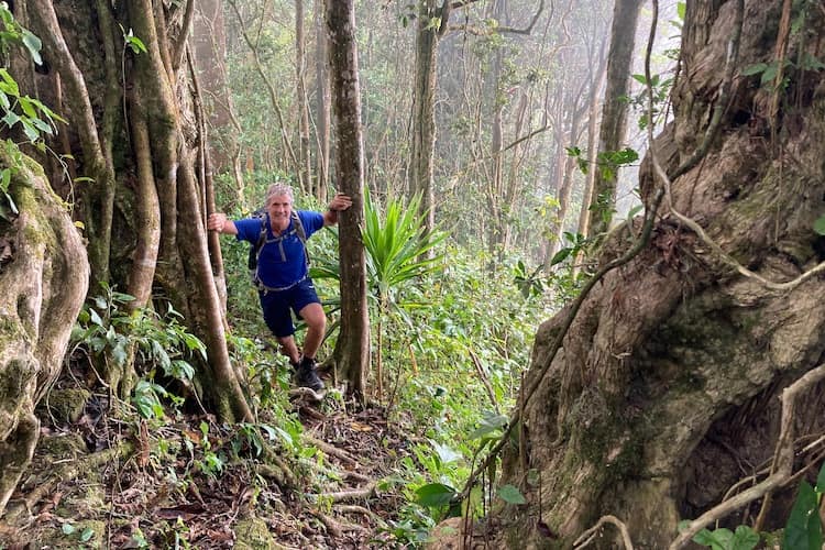 Trekking through the tendril-like forest