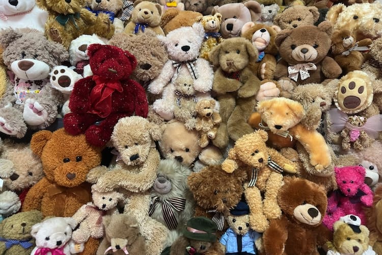A Group of Bears showing off their unique nature. 