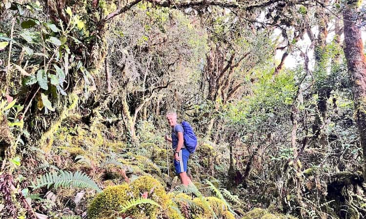 Exploration of dense ravines