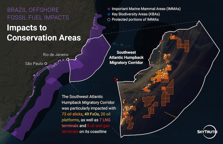 The impacts of oil development are concentrated in ecologically vital areas. The Southwest Atlantic Humpback Migratory Corridor—a critical breeding and nursing ground—was found to contain 49 FxOs, 20 oil platforms, and was impacted by 73 oil slicks.