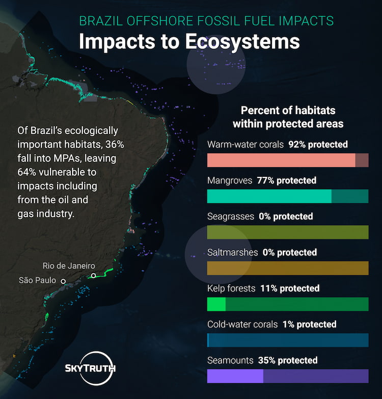 While Brazil has protected nearly all of its warm-water corals, its critical "blue carbon" assets remain vulnerable. SkyTruth analysis shows that 0% of the country's seagrasses and saltmarshes—and only 77% of its mangroves—fall within protected areas, leaving these vital carbon sinks exposed to oil and gas development.