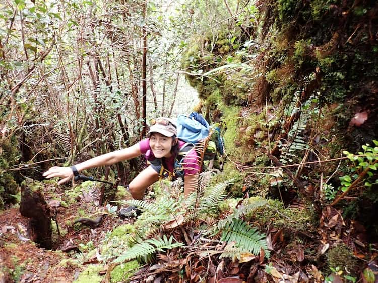 A hike up through the vines and treacherous areas of Bukit Raya