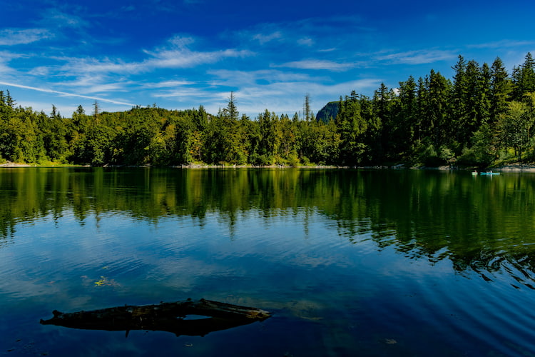 The wild Dinkey Lake where mosquitos live