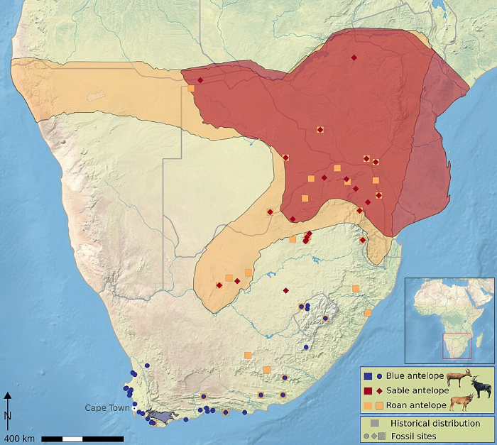 Distribution of Blue, Sable, and Roan Antelope in southern Africa; map by Elisabeth Hempel et al. licensed under CC BY 4.0