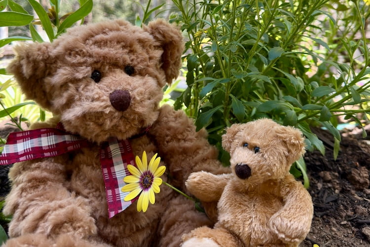 Sustainable Bears created through Huggables