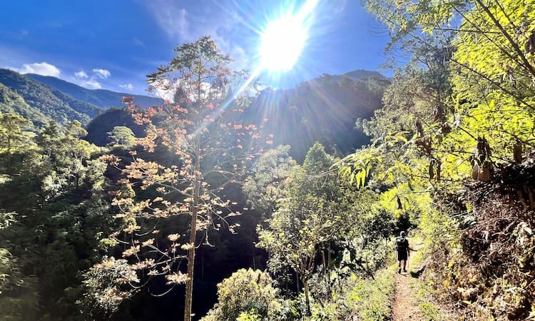 A trek up the mountains towards Latimojong
